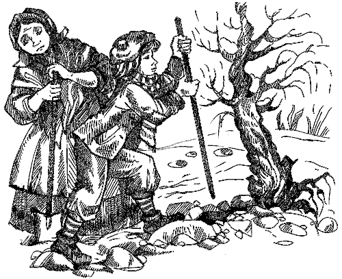 Срібні ковзани i_076.png