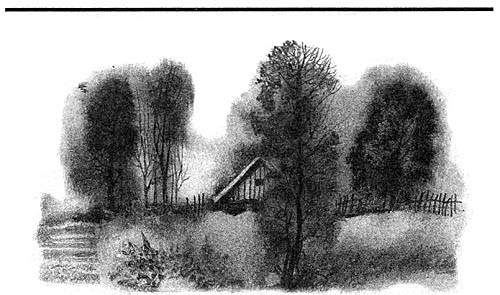 Афганская шкатулка i_009.jpg