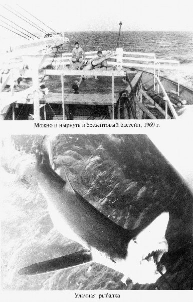 С Антарктидой — только на Вы _14.jpg