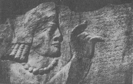 От Скифии до Индии. Древние арии: мифы и история i_046.jpg