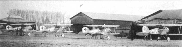 Боевое применение Германских истребителей Albatros в Первой Мировой войне pic_46.jpg