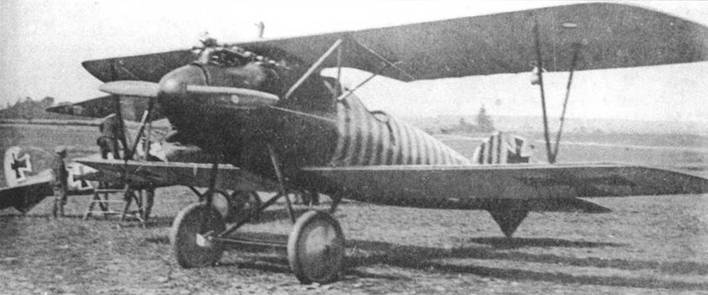 Боевое применение Германских истребителей Albatros в Первой Мировой войне pic_52.jpg