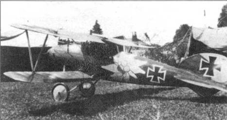 Боевое применение Германских истребителей Albatros в Первой Мировой войне pic_60.jpg