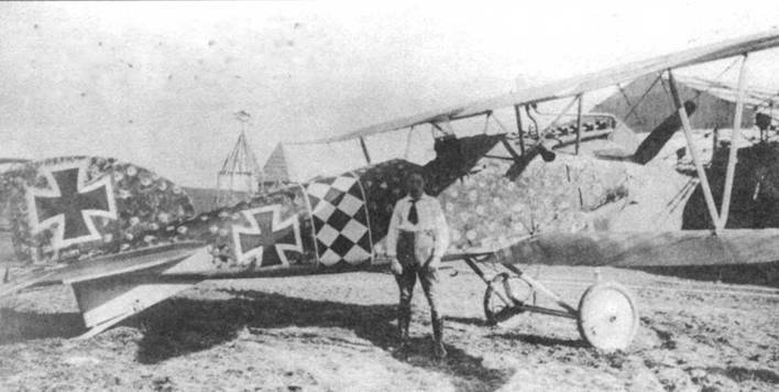 Боевое применение Германских истребителей Albatros в Первой Мировой войне pic_83.jpg