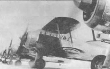 Gloster Gladiator pic_135.jpg