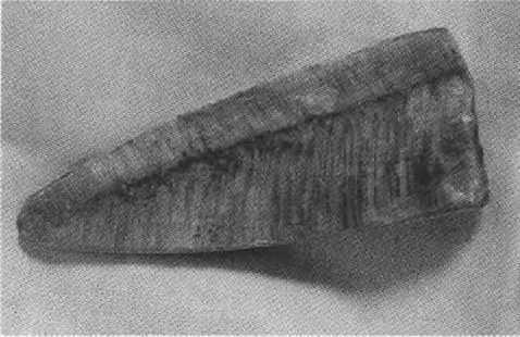 Русанов i_054.jpg