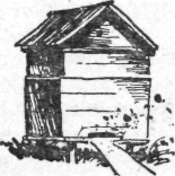 Тайны продуктов питания img3797.jpg