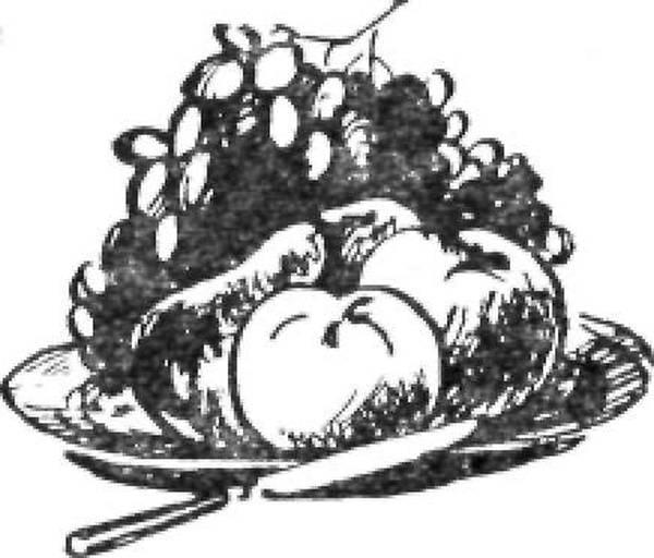 Тайны продуктов питания img6B71.jpg