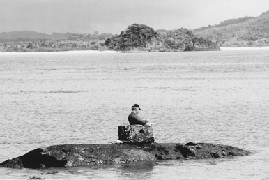 Adventures of a Sea Hunter: In Search of Famous Shipwrecks _34.jpg