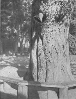 Лев Толстой img_5.jpeg