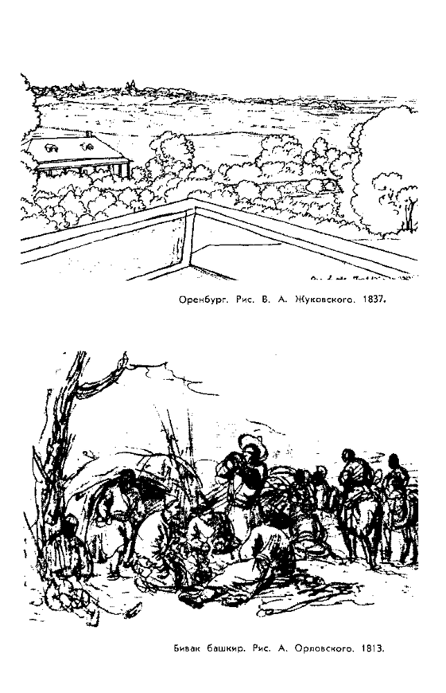 Даль img19.png