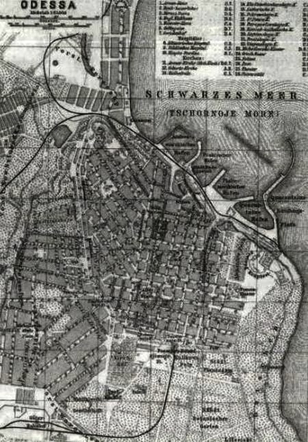 Заяц с янтарными глазами: скрытое наследие i_033.jpg