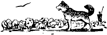 Вы и Ваш друг Рэкс _15.png