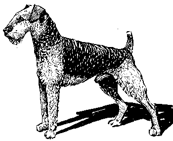 Вы и Ваш друг Рэкс _36.png