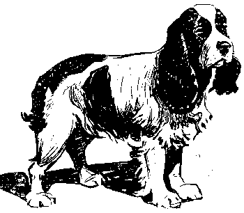 Вы и Ваш друг Рэкс _43.png