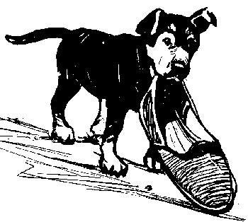 Вы и Ваш друг Рэкс _47.png