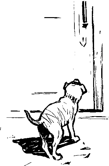Вы и Ваш друг Рэкс _48.png