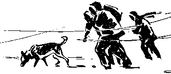 Вы и Ваш друг Рэкс _05.png