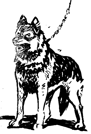 Вы и Ваш друг Рэкс _57.png