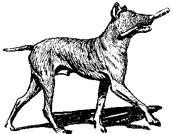 Вы и Ваш друг Рэкс _65.png
