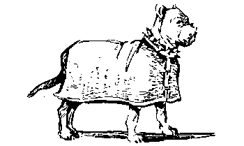 Вы и Ваш друг Рэкс _07.png