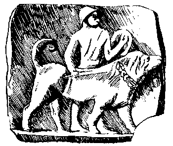 Вы и Ваш друг Рэкс _08.png