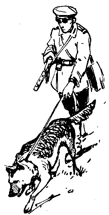 Вы и Ваш друг Рэкс _70.png