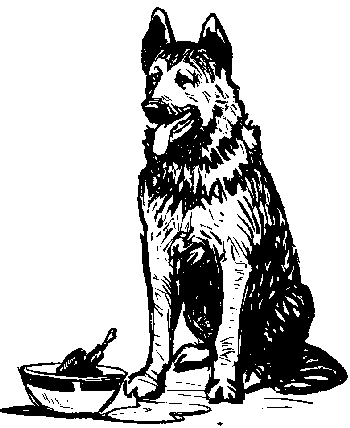 Вы и Ваш друг Рэкс _51.png