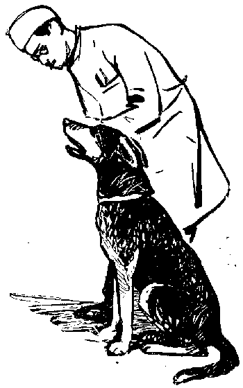 Вы и Ваш друг Рэкс _80.png