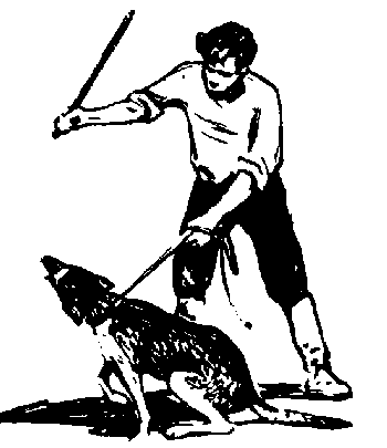 Вы и Ваш друг Рэкс _82.png