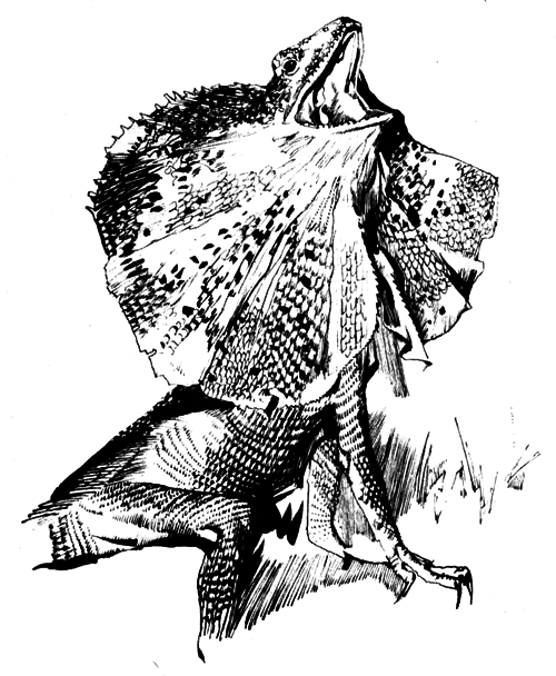 Зоопарки i_006.png