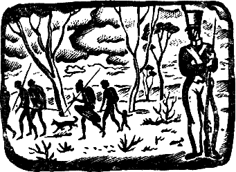 Австралийский робинзон i_011.png