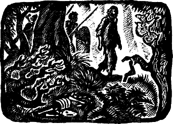 Австралийский робинзон i_003.png