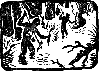Австралийский робинзон i_004.png