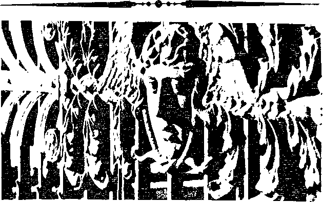 Перед штормом i_023.png