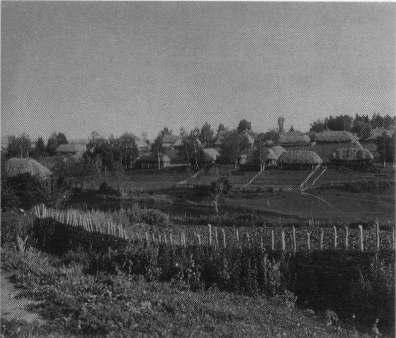 Повседневная жизнь Льва  Толстого в Ясной поляне img_22.jpeg