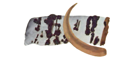 Вересковый край i_018.png