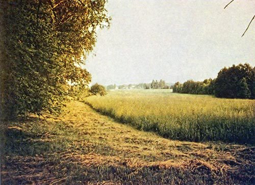Вересковый край i_037.jpg