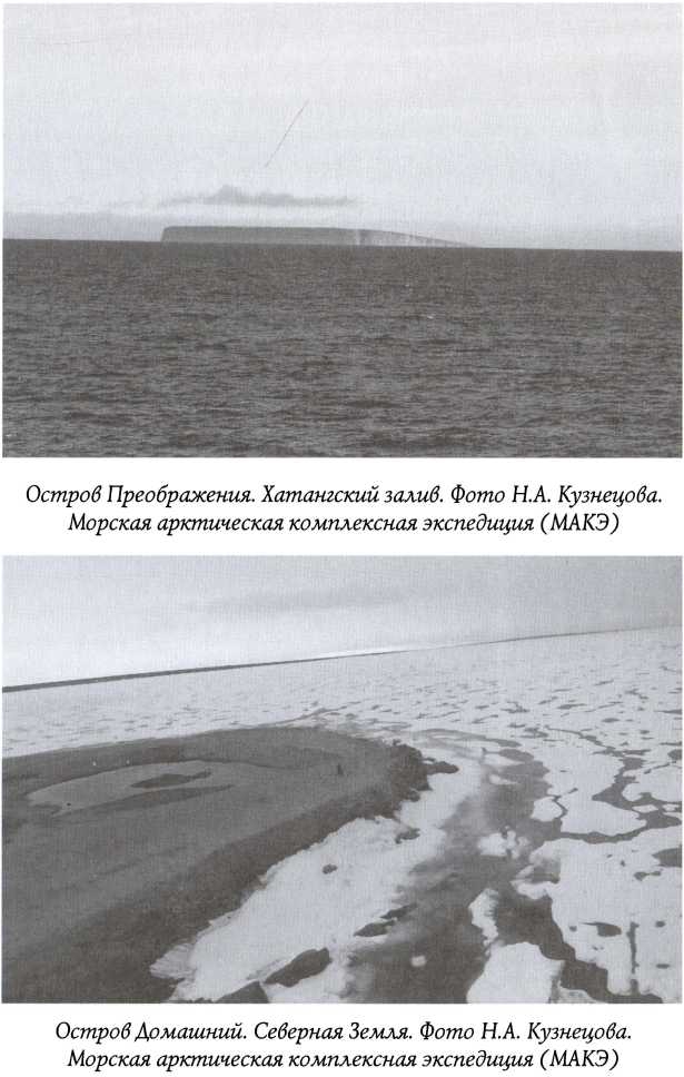 Арктические тени Третьего рейха img_11.jpg