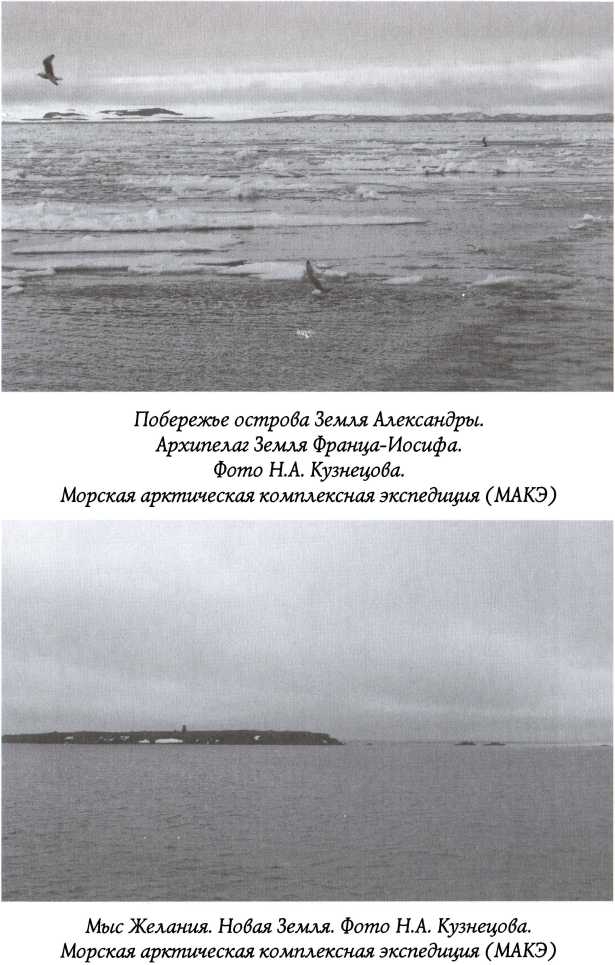 Арктические тени Третьего рейха img_12.jpg