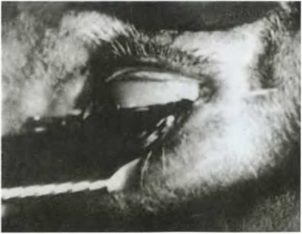 Повседневная жизнь сюрреалистов. 1917-1932 i_061.jpg