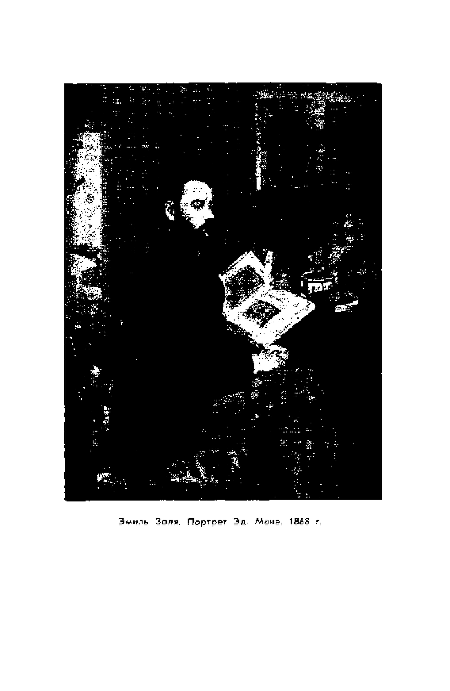 Золя img11.png