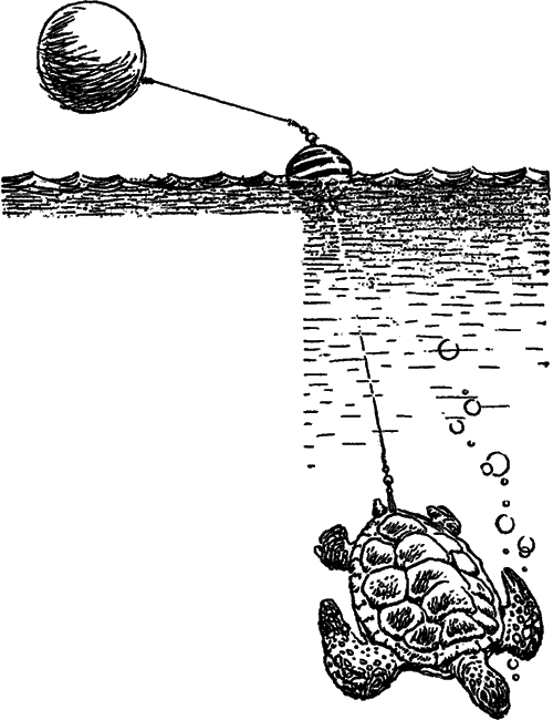 Чудо-компасы i_011.png