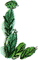 Длинные уши в траве. История косули Рыжки nonjpegpng__01.png