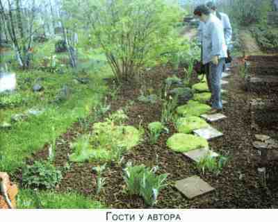 Не мешай огороду лопатой и плугом p12.jpg