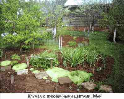 Не мешай огороду лопатой и плугом p19.jpg