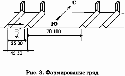 Не мешай огороду лопатой и плугом Ris.3.png