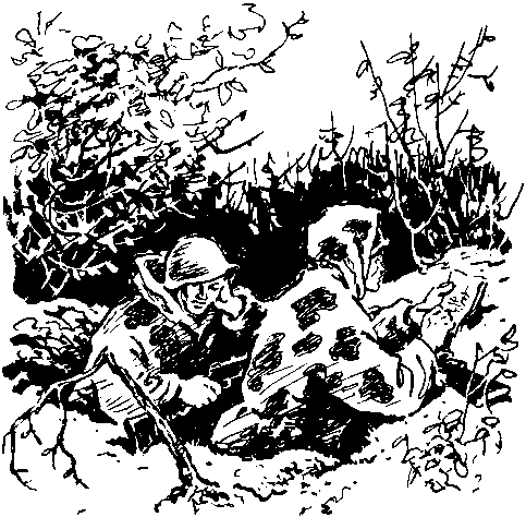 Сердце солдата img_17.png