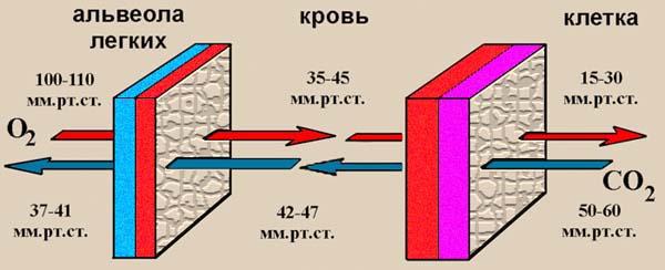 Какова ты, родина богов.. img_3.jpg