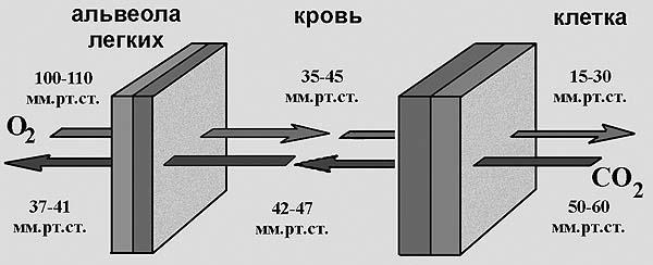 Древние боги - кто они img_87.jpg